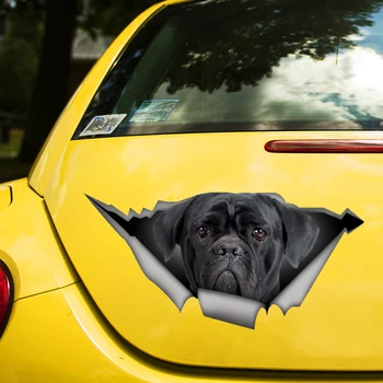 Собака кане Корсо, 3D самоклеящаяся наклейка, автомобильная наклейка, водонепроницаемые автомобильные декорации на бампер, заднее стекло, ноутбук, выберите размер #S60474