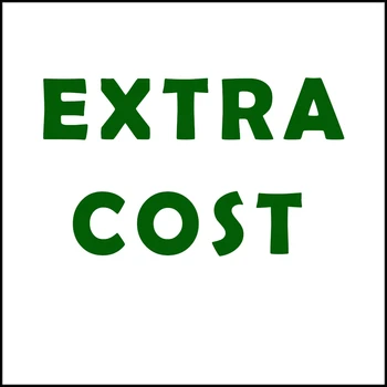 Специальная ссылка для оплаты дополнительной стоимости доставки или дополнительной оплаты при заказе Стандартной или обычной доставки